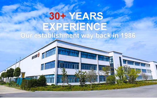 Одобренный CCC новый нейтральный пакет Grh/деревянный поддон с двойным шестеренчатым насосом для удаления снега